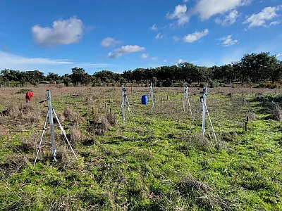 Infiltrometers deployed at an experimental site at Companhia das Lezírias, Portugal. Photo by Pedro Leite.