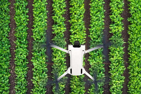 Farmer controlling drone on the farm