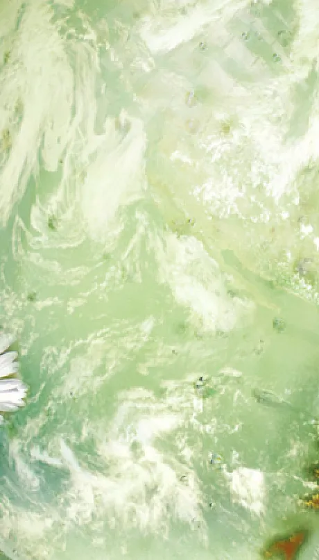 a globe imposed over a field of daisy