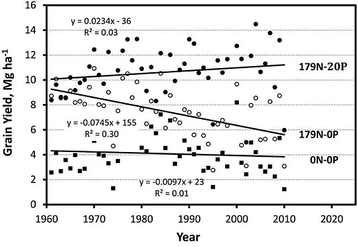 Figure 4. Annual maize grain yields for a longâterm fertilizer study near Tribune, KS, from 1961 to 2010. Untreated control (0Nâ0P; â ), N fertilizer only (179Nâ0P; â) at 179 kg N haâ1, and N + P (179Nâ20P; â) at the same rate of N plus 20 kg P haâ1 (Schlegel & Havlin, 2017).