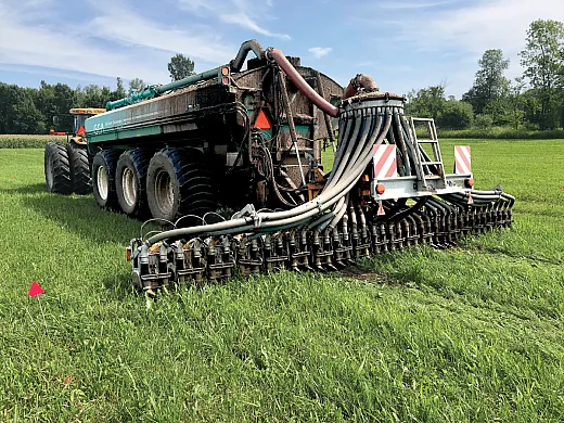 Several studies have shown application of manure increased soil organic matter and organic carbon, nitrogen, and water-holding capacity in the soil and was associated with highermicrobial biomass, activity, and abundance. Photo by Sarah Brickman.